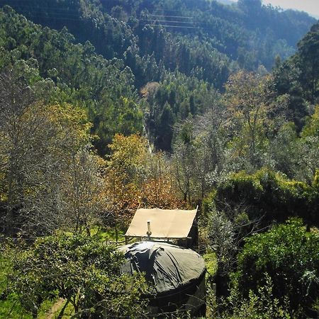 Green Man Yurt Penela Bagian luar foto