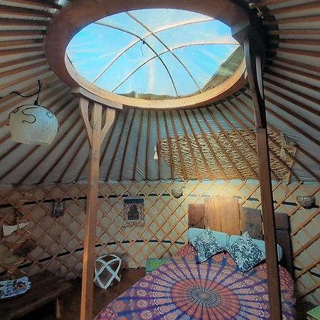 Green Man Yurt Penela Bagian luar foto