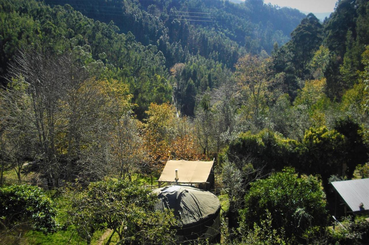 Green Man Yurt Penela Bagian luar foto