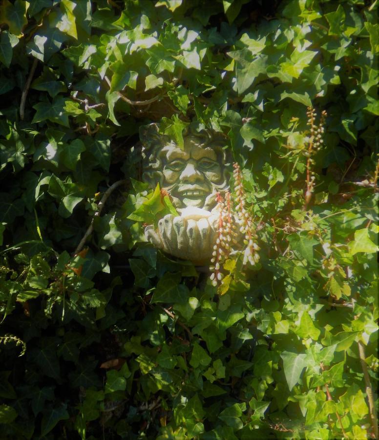 Green Man Yurt Penela Bagian luar foto