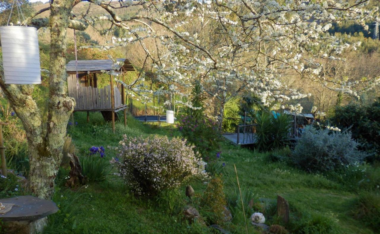 Green Man Yurt Penela Bagian luar foto