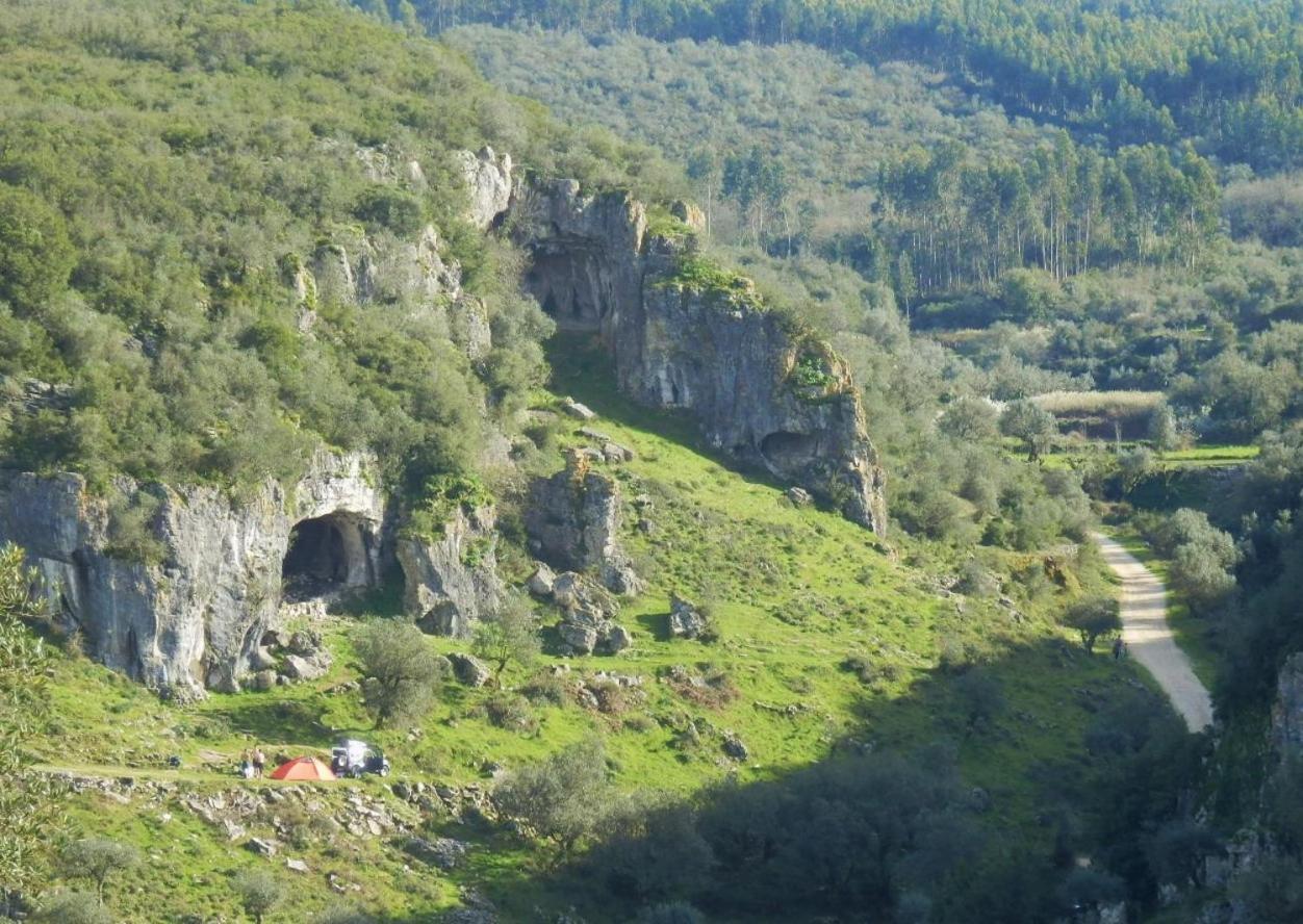 Green Man Yurt Penela Bagian luar foto