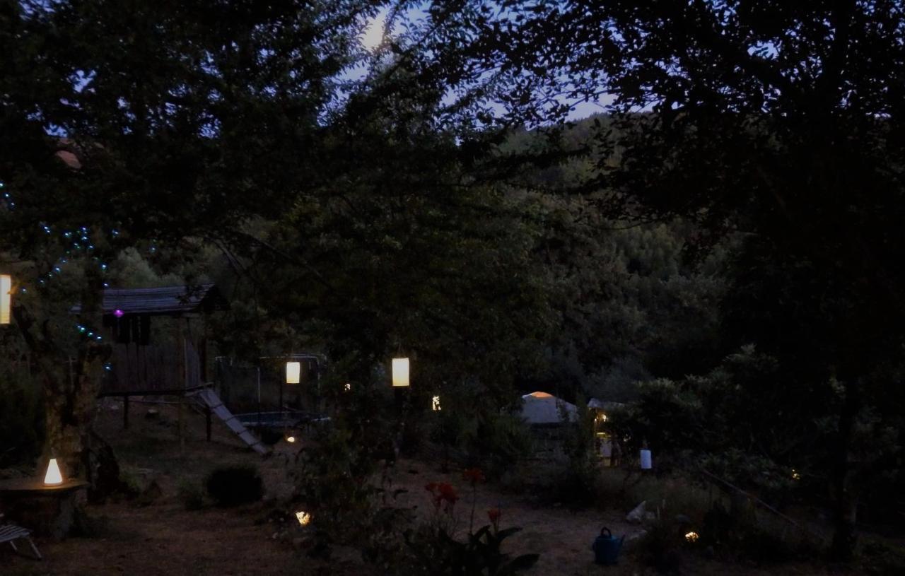 Green Man Yurt Penela Bagian luar foto