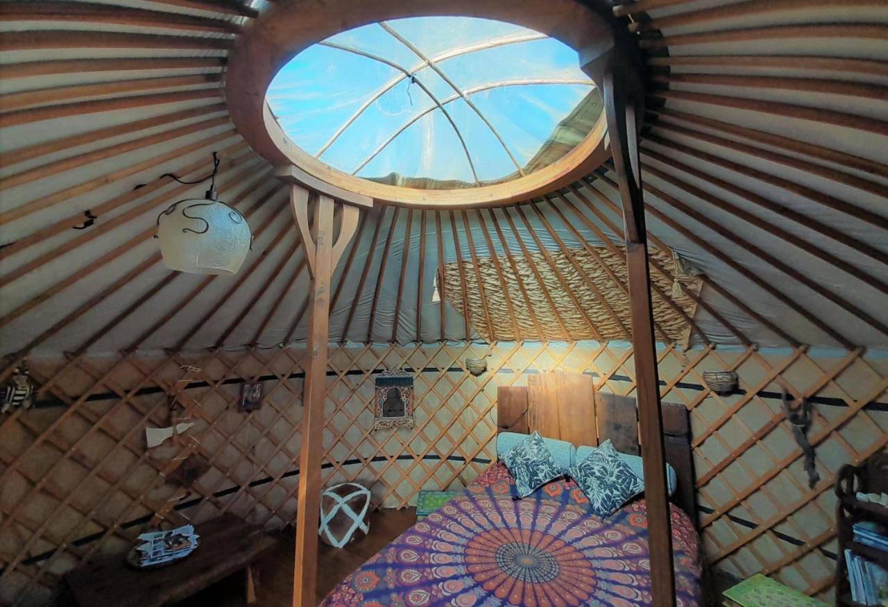 Green Man Yurt Penela Bagian luar foto
